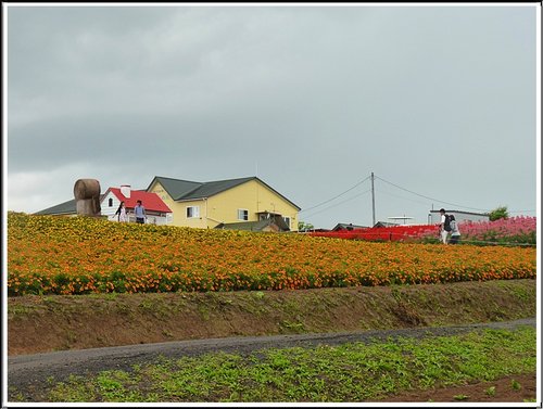 2011北海道之旅~四季彩之丘18