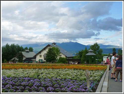 2011北海道之旅~富田農場(上) 05