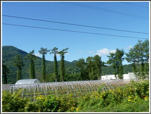 2011北海道之旅~滝之上自然公園風景篇 03