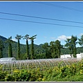 2011北海道之旅~滝之上自然公園風景篇 03