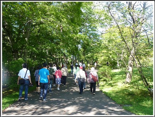 2011北海道之旅~滝之上自然公園風景篇 09