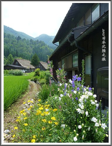 2012日本北陸之旅~合掌村隨拍(一) 28