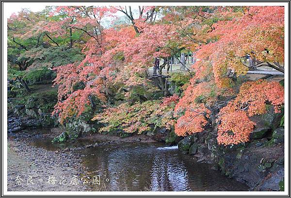 2013日本賞楓之旅D1093