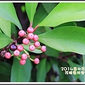2014臺北花卉展82