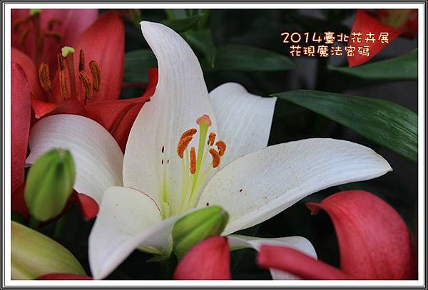 2014臺北花卉展99