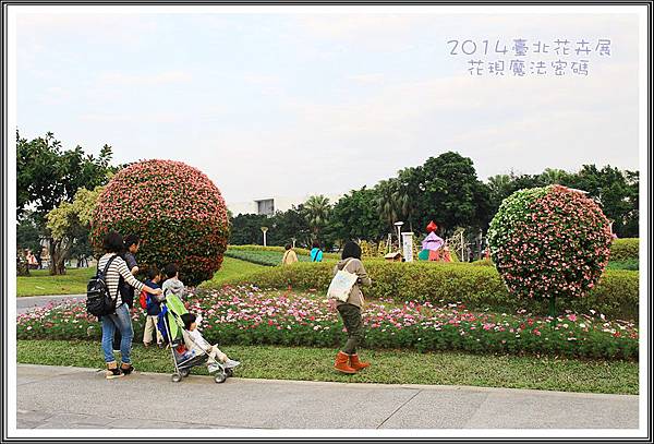 2014臺北花卉展142