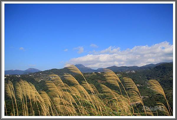 翠山步道12