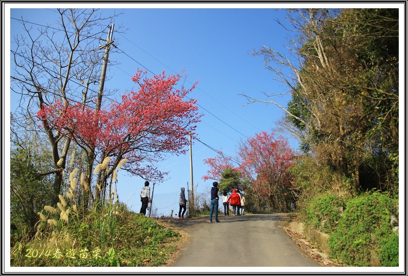 2014春遊苗栗D1092