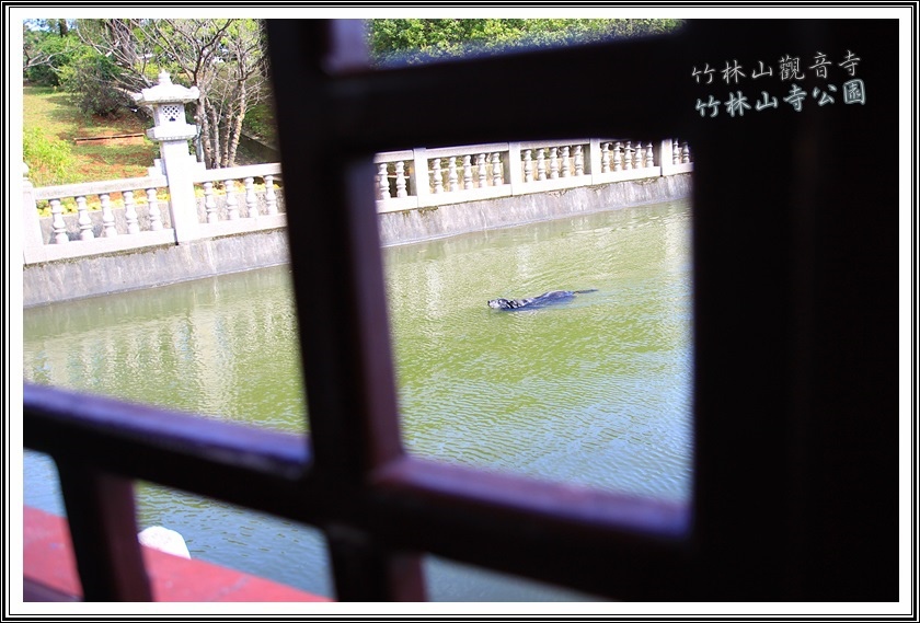 林口竹林山觀音寺33