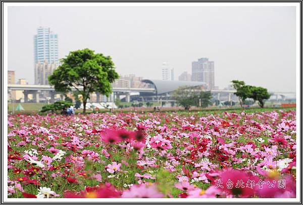 大台北都會公園04