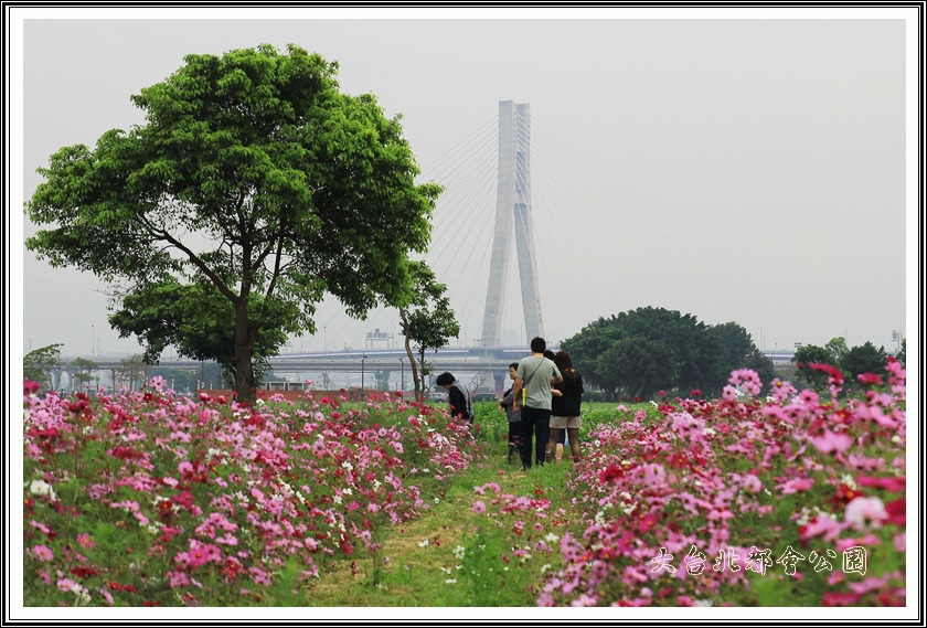 大台北都會公園10