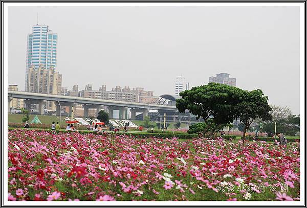 大台北都會公園09