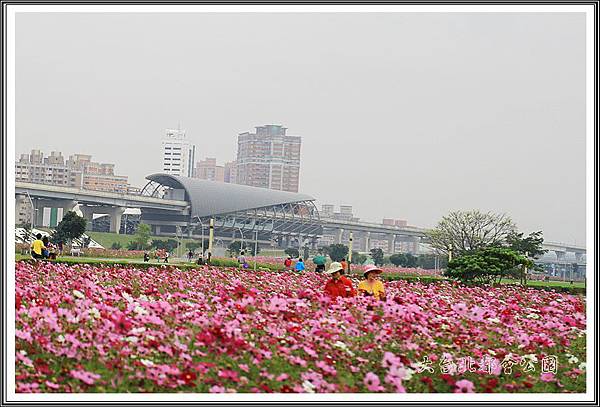 大台北都會公園11