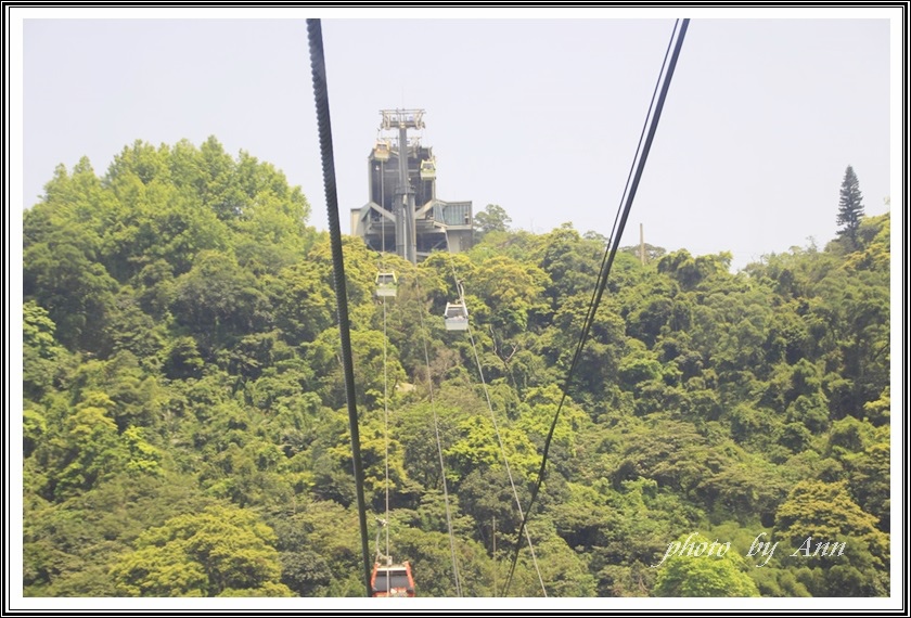 20140412貓空樟樹步道07