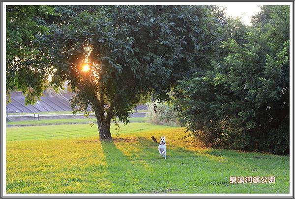 雙溪河濱公園201407 雙溪河濱公園201407