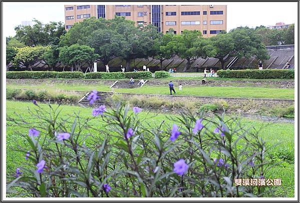 雙溪河濱公園201423