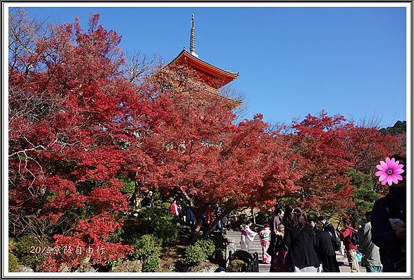 2015京阪自由行D226