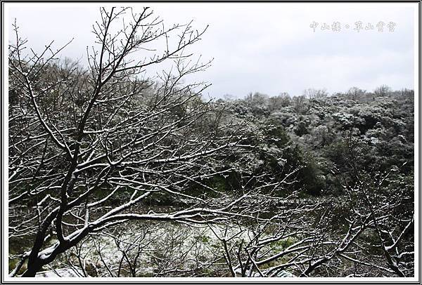 201601草山賞雪25