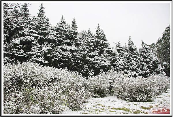 草山賞雪2016012406