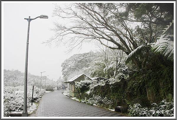 草山賞雪2016012422