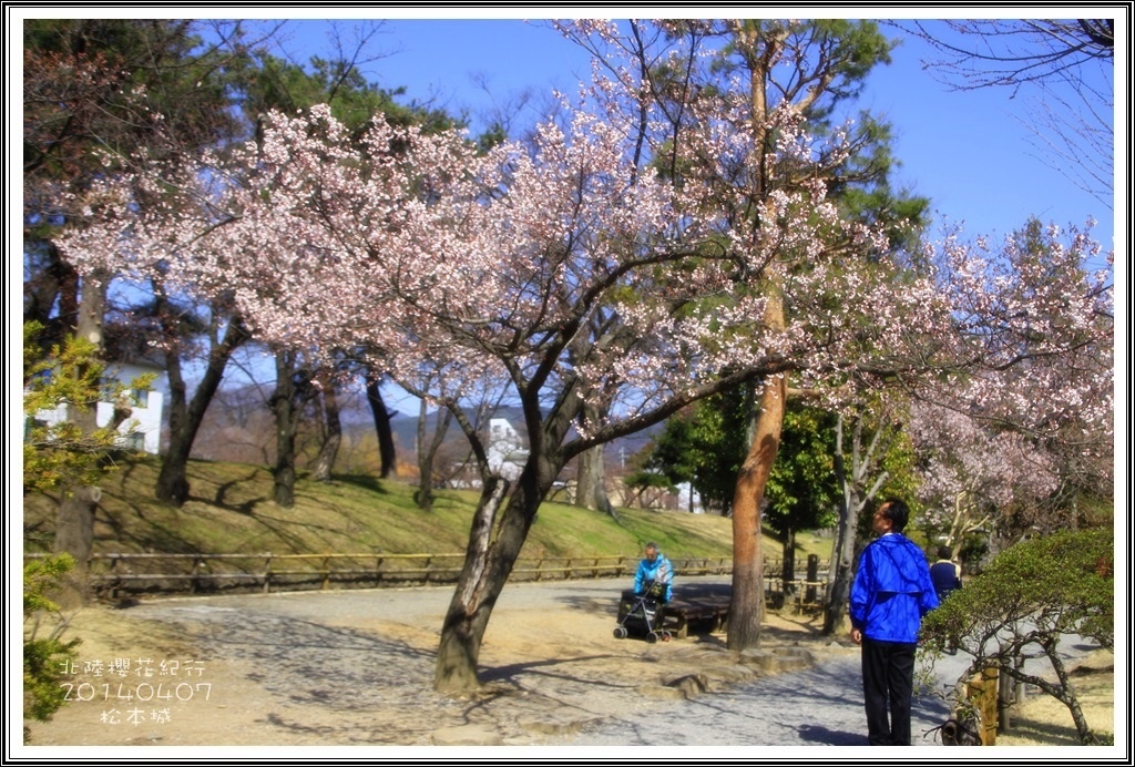 2014北陸櫻花紀行篇D3069