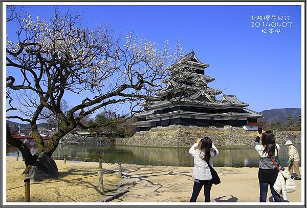 2014北陸櫻花紀行篇D3085