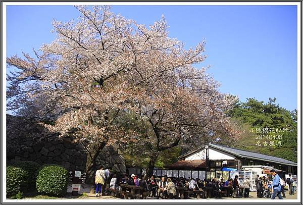 2014北陸櫻花紀行D4068