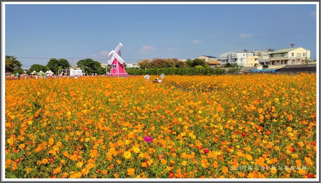 20211119田尾花海_211124_19.jpg