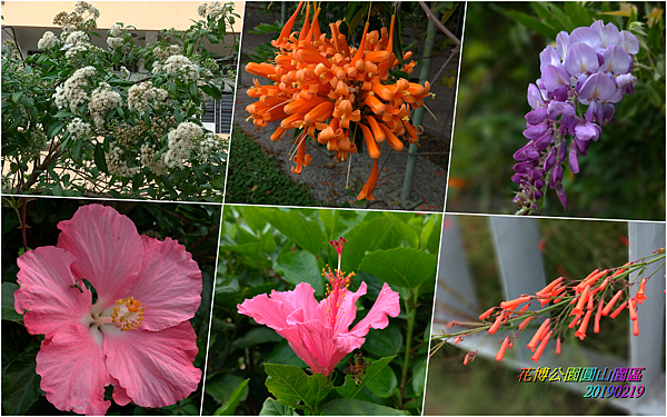 花博公園圓山園區2019021902.png