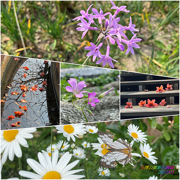 花博公園新生園區2021031501.png