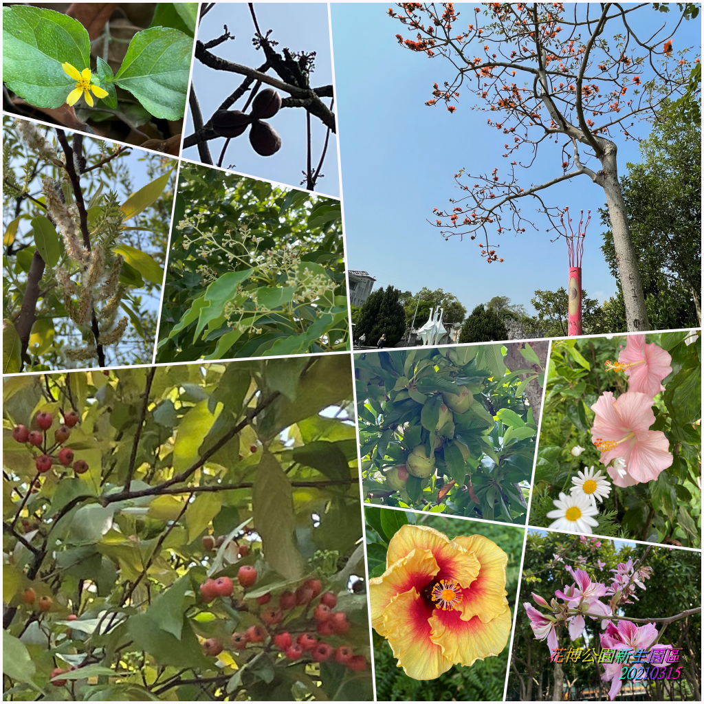 花博公園新生園區2021031500.png