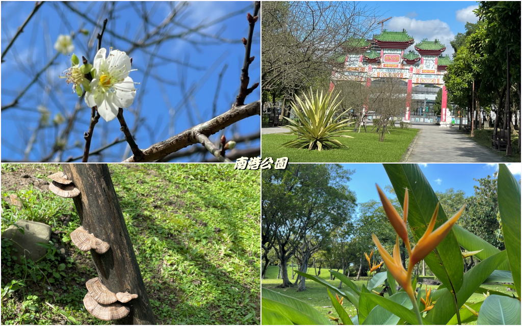 南港公園00.png