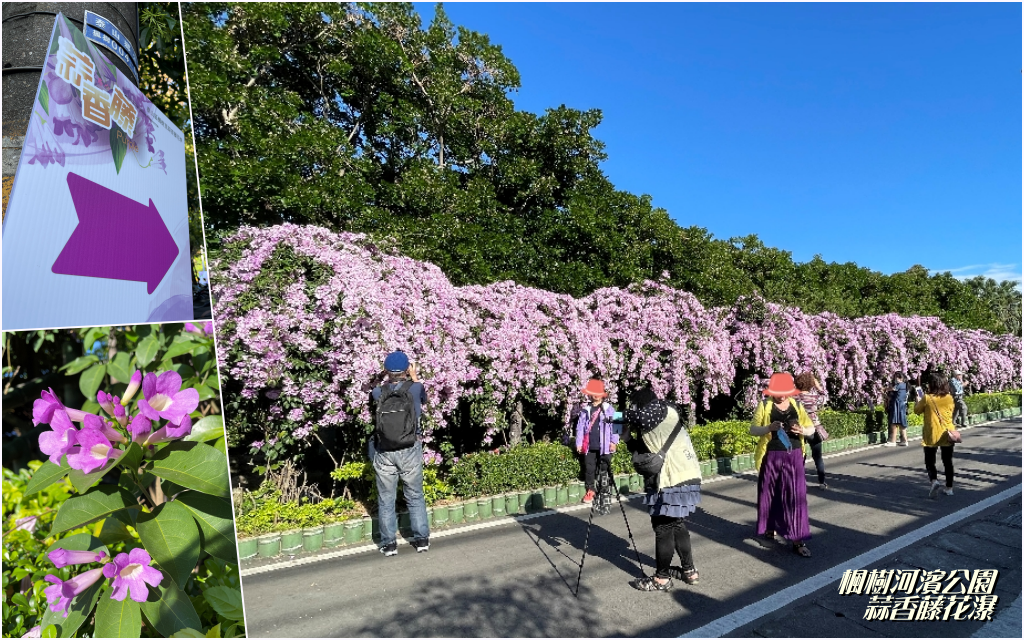 楓樹河濱公園.png