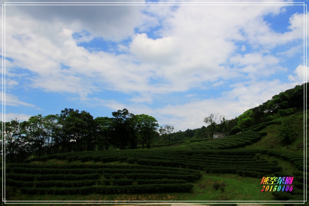 熊空茶園2015040616.JPG