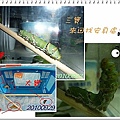 無尾鳳蝶飼育記08.jpg