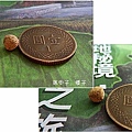 鼠李科-馬甲子25.jpg