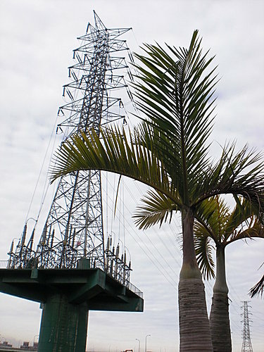 河濱公園即景03.jpg