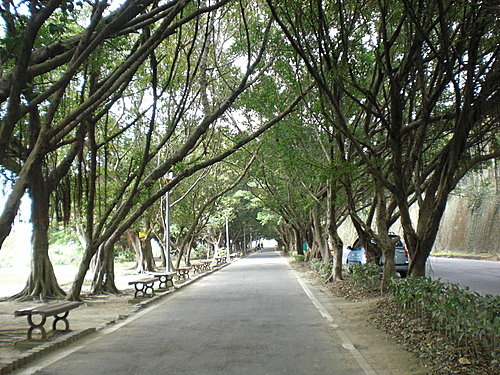 河濱公園即景04.jpg