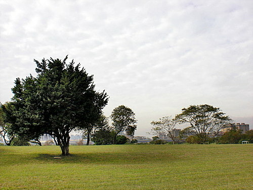 河濱公園即景09.jpg