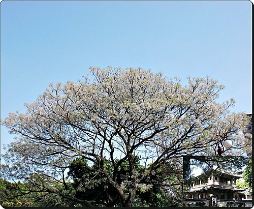 板橋林家花園外一章01.jpg