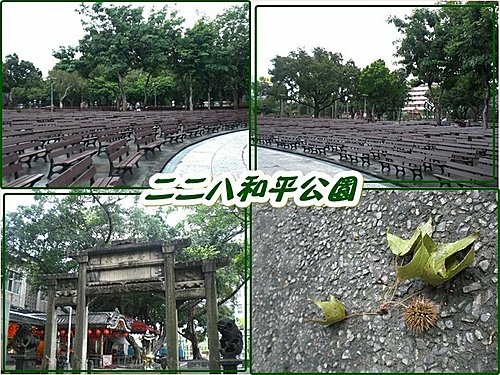 閒逛二二八和平公園15.jpg