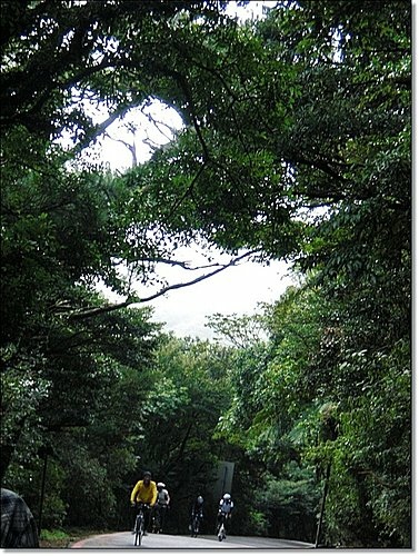 走走二子坪步道&大屯自然公園18.jpg