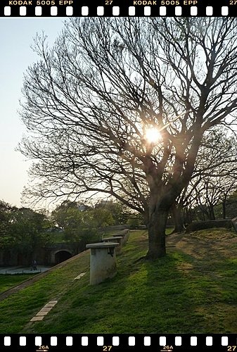 二級古蹟-滬尾砲台19.jpg