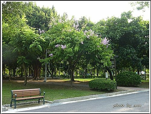 夏日午後的大安森林公園12.jpg