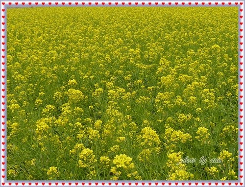 幸福水漾公園的2月天15.jpg