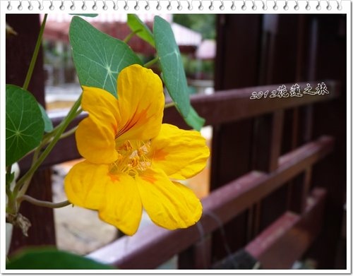 2012花蓮之旅~花蓮觀光糖廠30.jpg