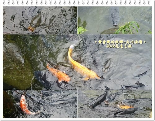 2012花蓮之旅~~立川漁場13.jpg