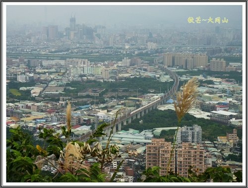 秋芒~大同山、小油坑、大屯山11.jpg