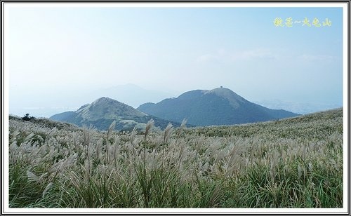 秋芒~大同山、小油坑、大屯山20.jpg