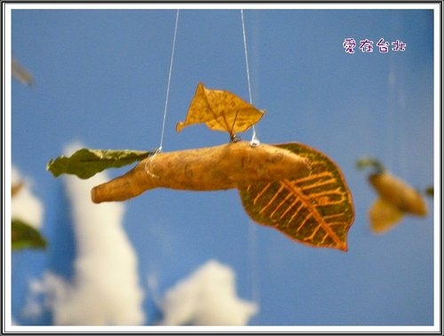 2012爭艷館花卉展~愛在台北(三)14.jpg